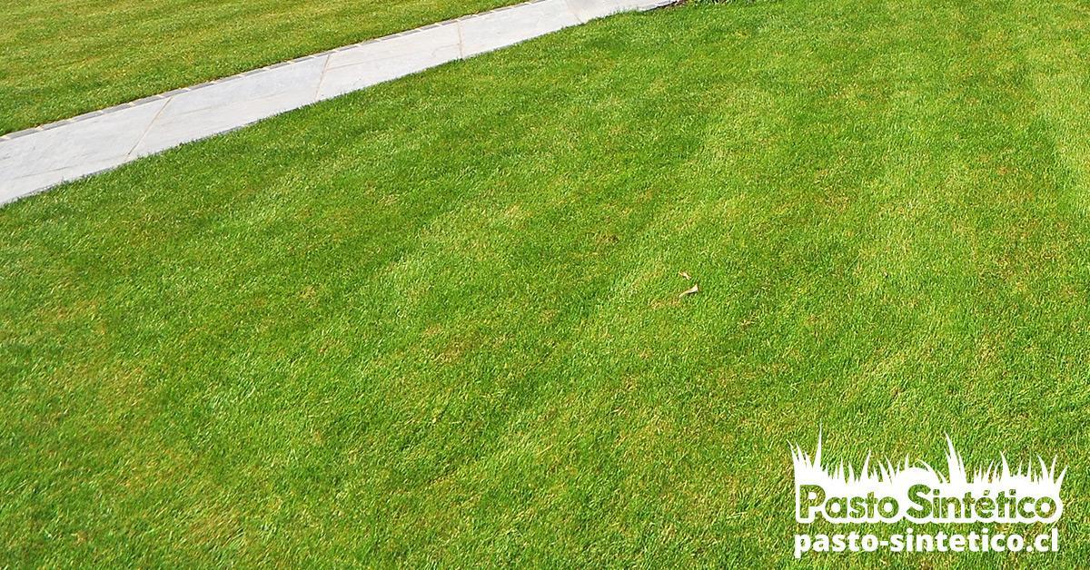 Alfombra pasto sintético, venta pasto sintético, pasto sintético, arena de sílice, caucho reciclado