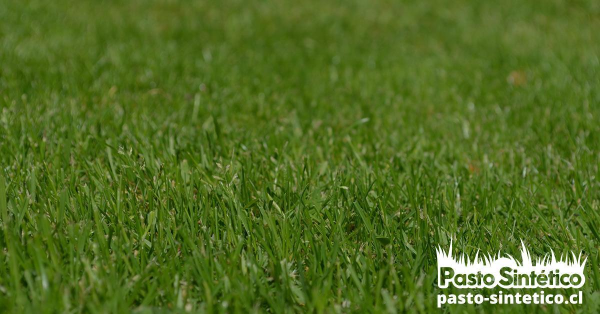 Pasto artificial, pasto sintético para terrazas, comprar pasto sintético, pasto sintético, caucho reciclado, arena de sílice