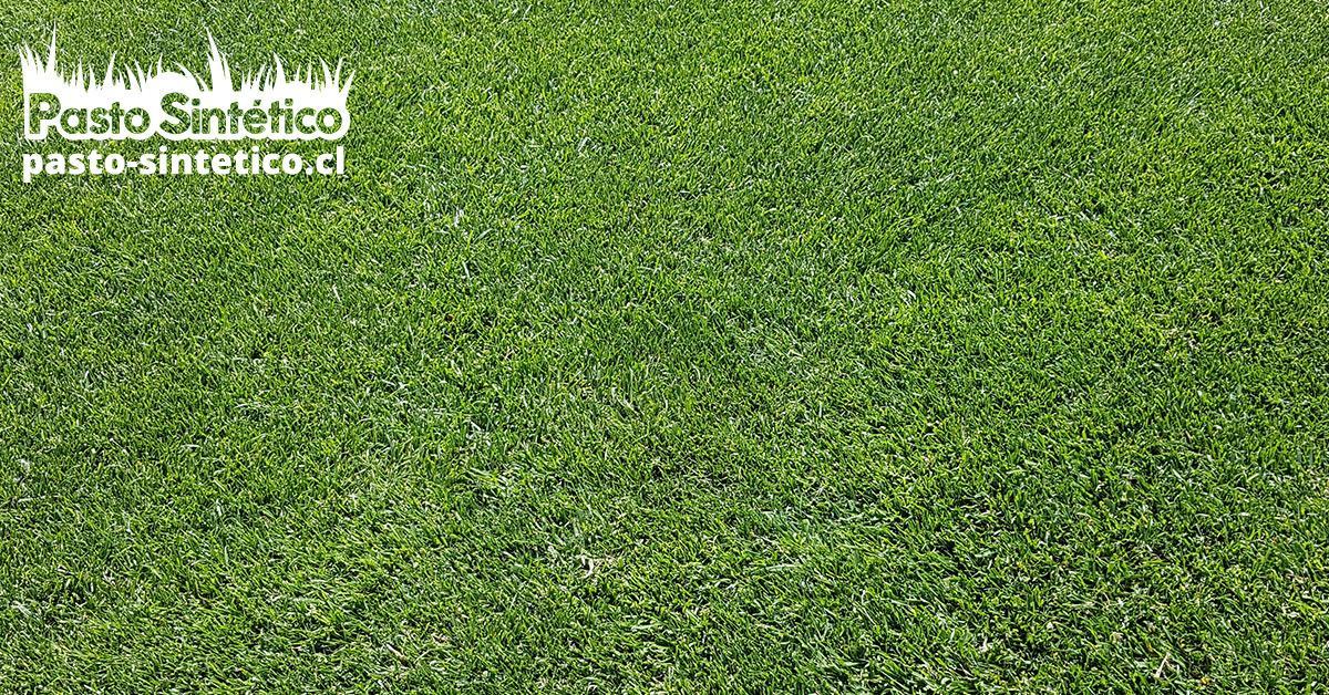 jardín con pasto sintético, pasto sintético