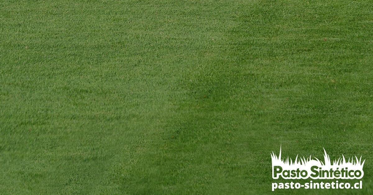Domo Sports Grass, instalar pasto sintético, canchas de futbolito, pasto sintético deportivo, pasto sintético, pasto artificial