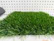 Alfombra de pasto sintético 20mm CCGrass - código LC2017